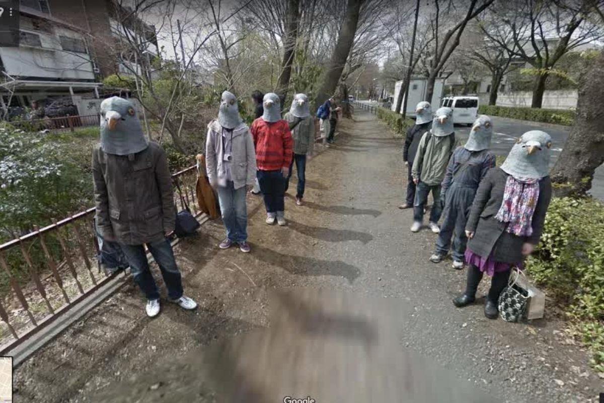 Pigeon People