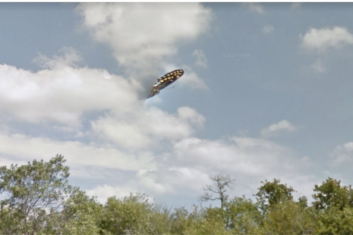 ufo