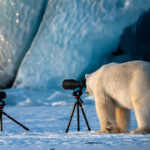 Photographers Captures The Most Funny Wildlife Images