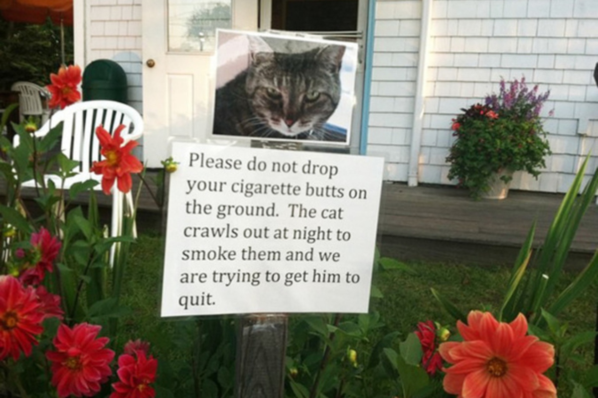 Yard Sign About Cigarette Butts And An Addicted Cat