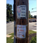 The Funniest Yard Signs You’ve EVER Seen