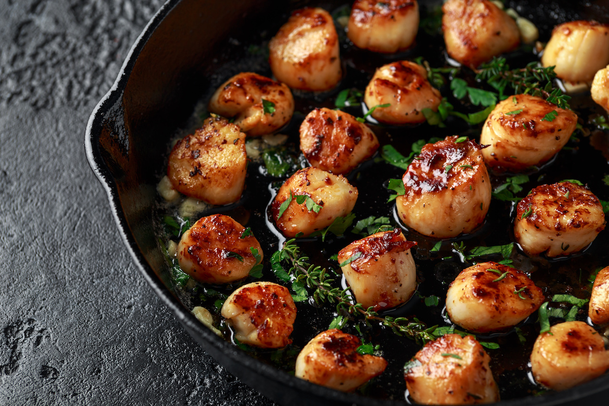 Scallops