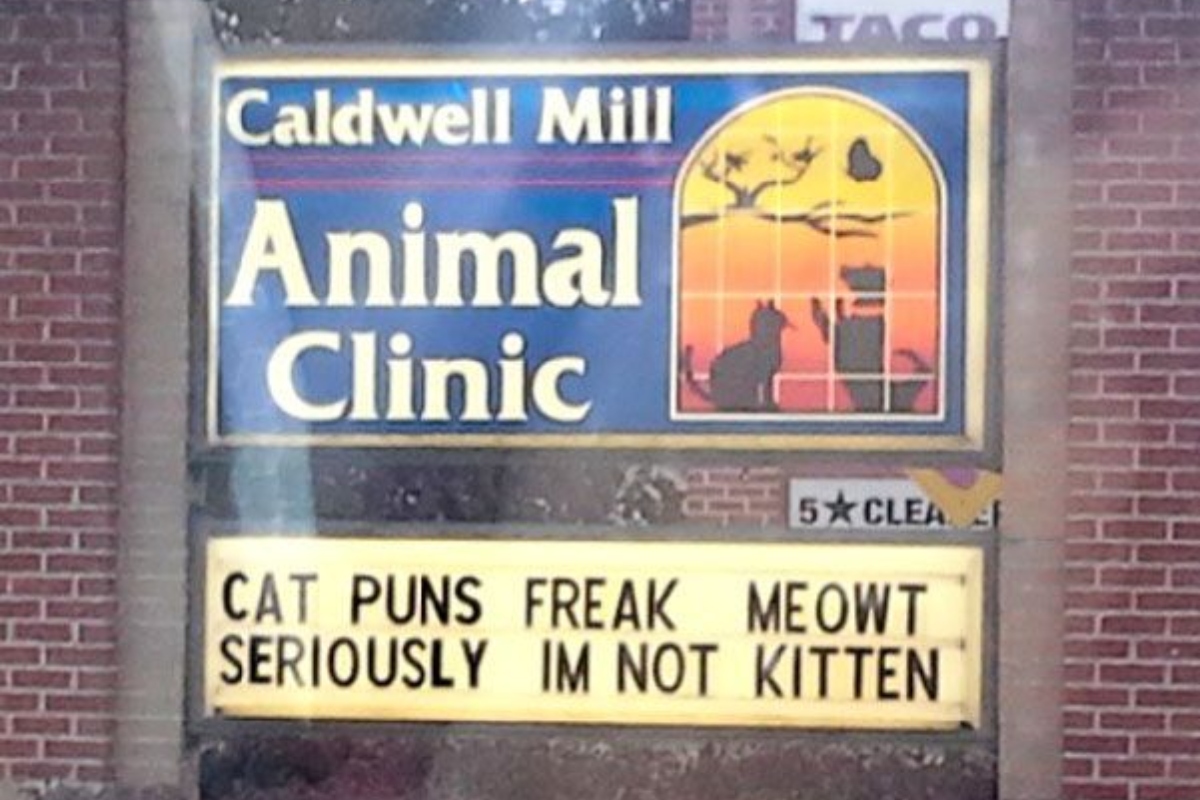 Animal Clinic Cat Puns Business Sign