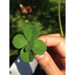 The Luckiest People of All Time