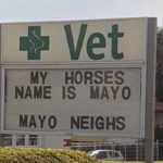 Funniest Business Signs You’ve Ever Seen