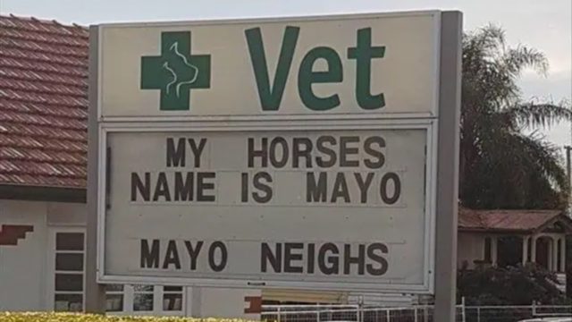 Funny Business Signs Put Up For Your Entertainment