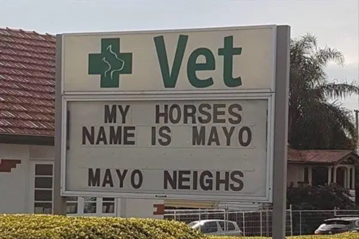 Mayo Neighs Veterinarian Sign