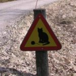 Funny Road Signs That Are Sure To Make You Laugh