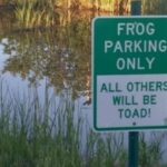 Funny Road Signs That Are Sure To Make You Laugh