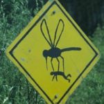 52 Funny Road Signs That Are Sure To Make You Laugh