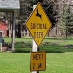 52 Funny Road Signs That Are Sure To Make You Laugh