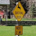 Funny Road Signs That Are Sure To Make You Laugh