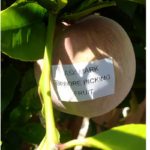Hilarious Notes From Annoyed Neighbors