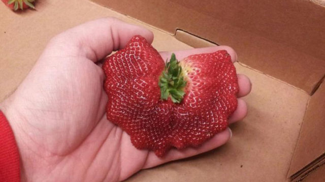 These People Are The Luckiest Of All Time