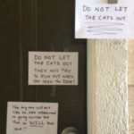 Hilarious Neighbor’s Note Goes Viral 🤣