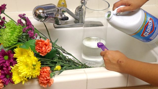 Items You Should Never Use After Their Expiration Date (And What To Do Instead)