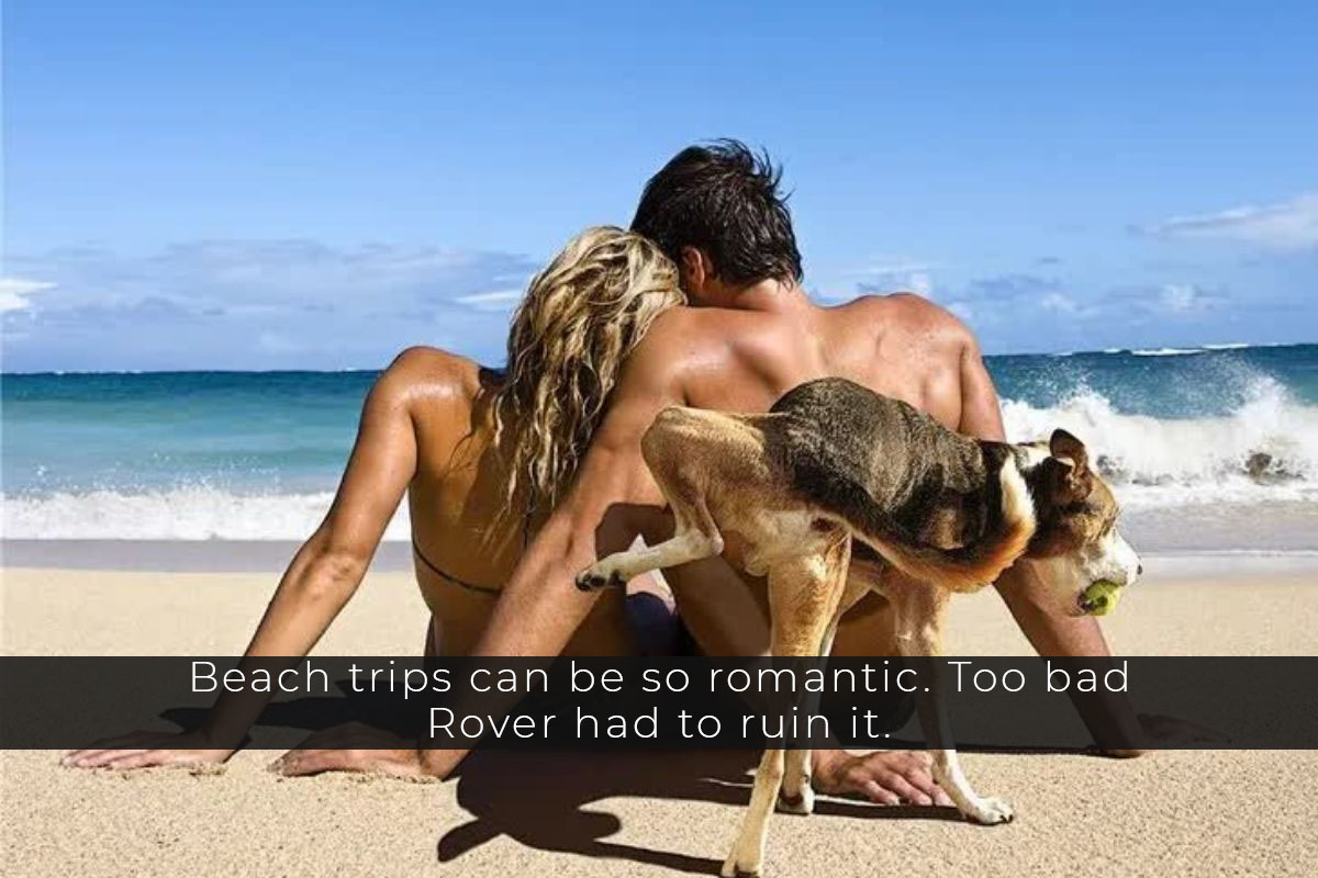 vacation