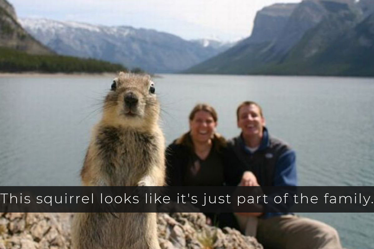 vacation photo