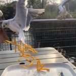30 Pics Of People Having The Worst Day Ever