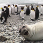 Funny Photobombs: People In The Background Completely Steal The Show!