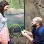 Funny Photobombs: People In The Background Completely Steal The Show!
