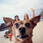 When Animals Photobomb: A Collection of Hilarious Moments