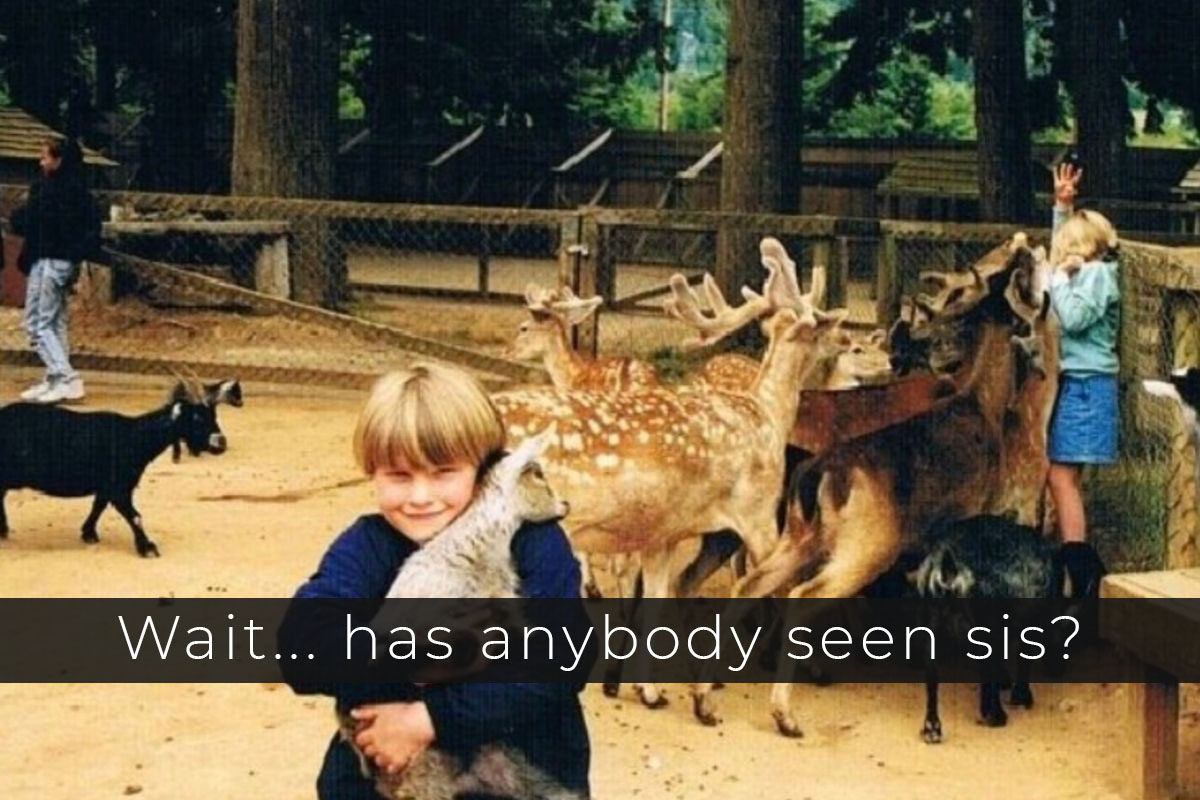 Petting zoo