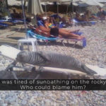 Try Not To Laugh At These Hilarious Vacation Photos