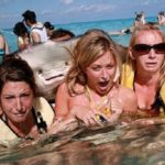 Try Not To Laugh At These Hilarious Vacation Photos