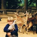 Try Not To Laugh At These Hilarious Vacation Photos