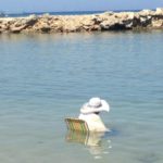 Try Not To Laugh At These Hilarious Vacation Photos