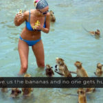 Epic Vacation Photos That Are Hilarious