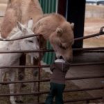 30 Pics Of People Having The Worst Day Ever