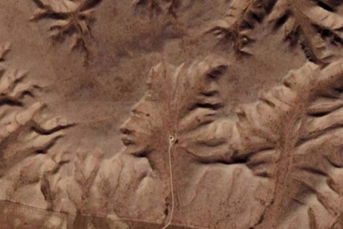 Desert face