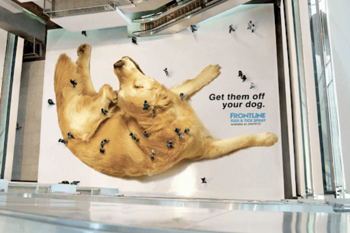 Dog Flea Ad