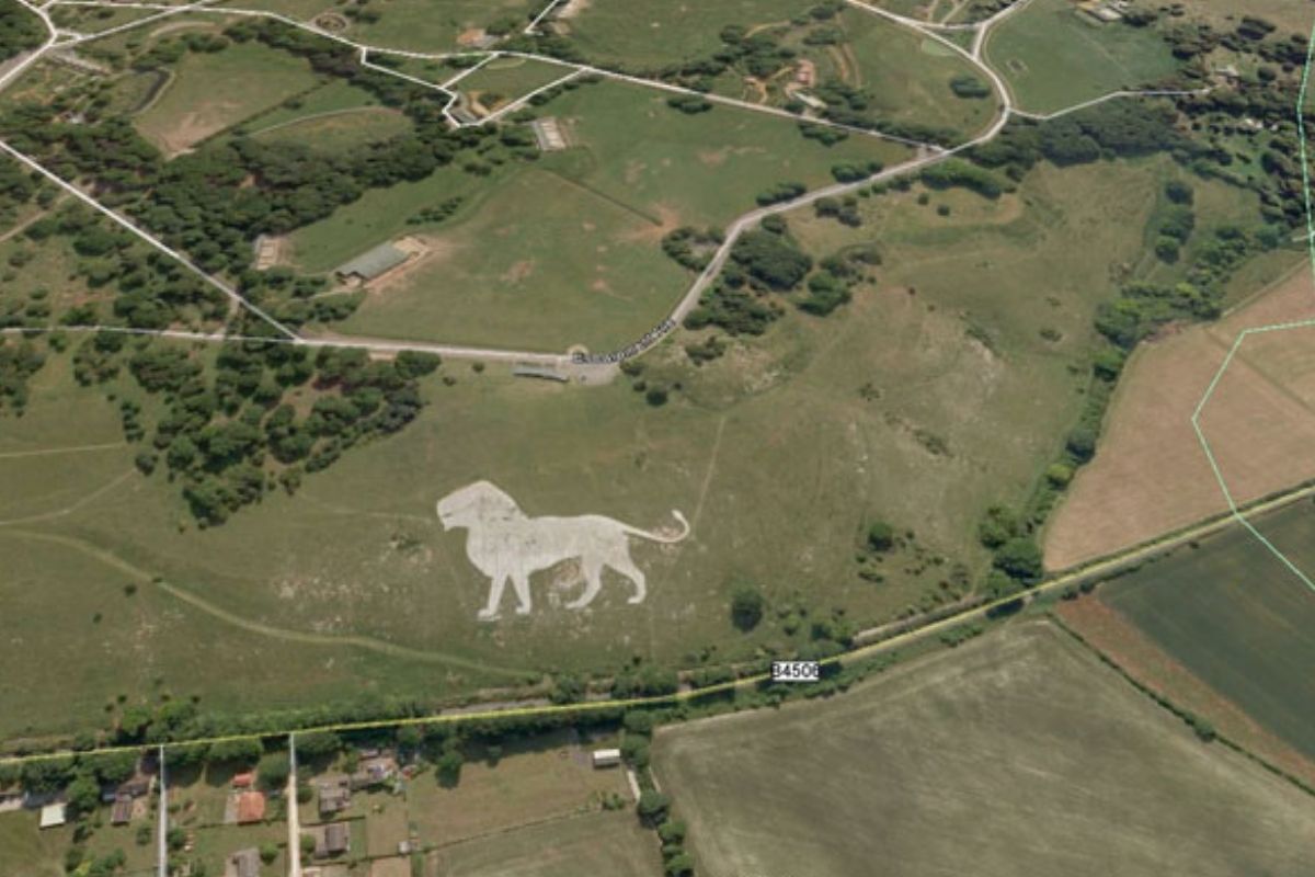 lion on Google Earth