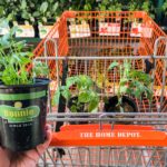 Home Depot Sale Hacks That Will Help You Save Time And Money