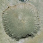 Google Earth Images That Tell a Hidden Story