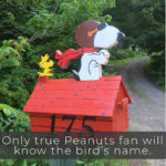 The Funniest Mailboxes Ever Seen In America