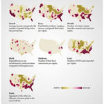 USA Maps That Will Totally Change How You See The Country