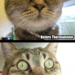 Funniest Before And After Images