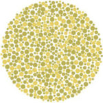 Is Your Vision Above Average? Let’s See!