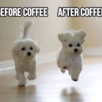 Funniest Before And After Images