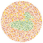 Is Your Vision Above Average? Let’s See!