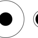 Is Your Vision Above Average? Let’s See!