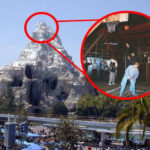 Stunning Secrets About Walt Disney World