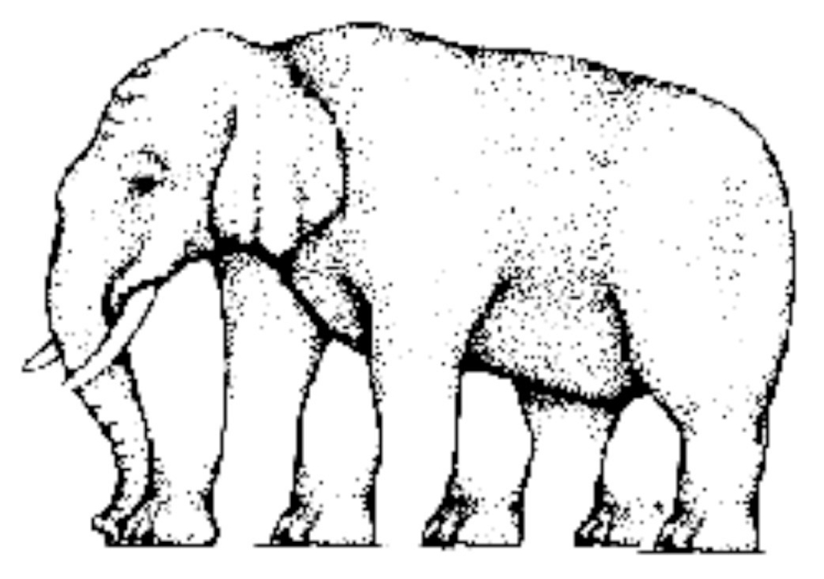 Elephant Optical Illusion
