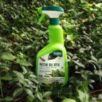 Toxic Cleaning Products That Risk Damaging Your Home