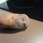 Funny Fruits And Vegetables That Look Like Other Things