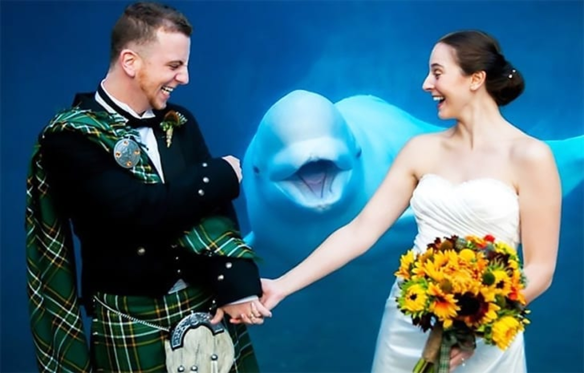 Beluga Whale Wedding Photo